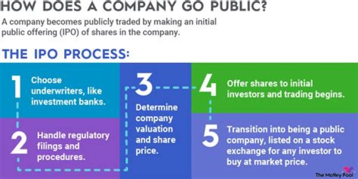 Do publicly traded companies have to release financial statements?