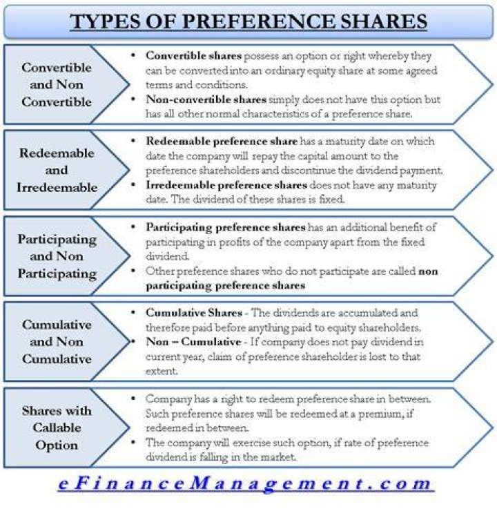 Does networth include preference share capital?