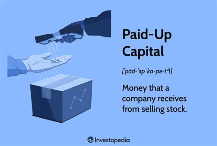 Does paid-up capital include share premium?