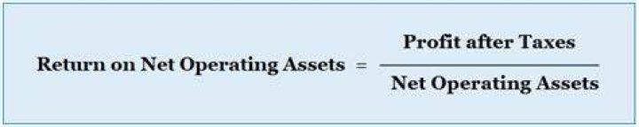 How do you calculate return on net operating assets?
