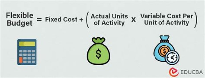 How does a flexible budget work?