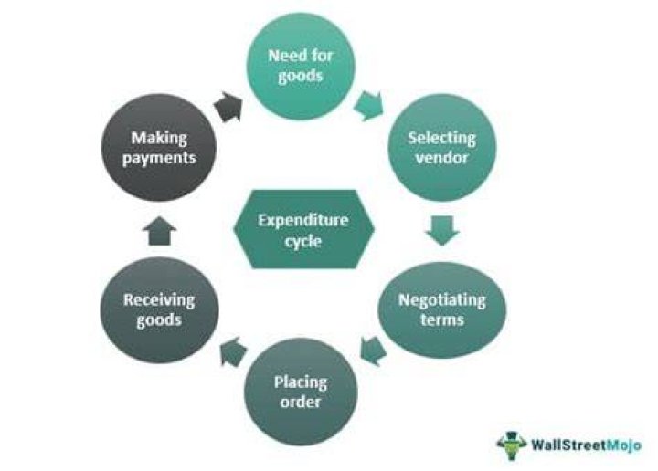 How does the expenditure process mirror the revenue process?