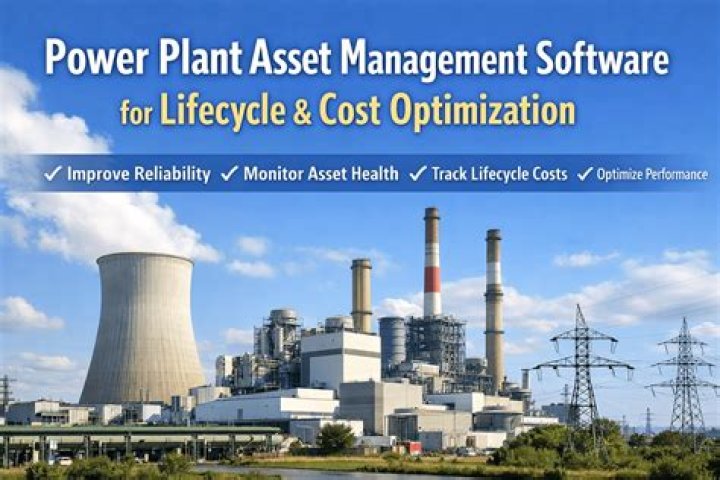How is the cost of a plant asset determined?