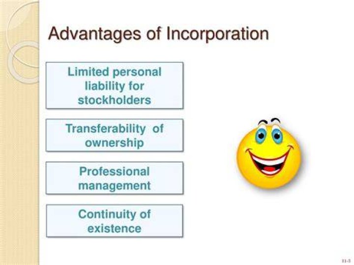 Is it true that the liability of corporate stockholders is limited to the amount of their investment?