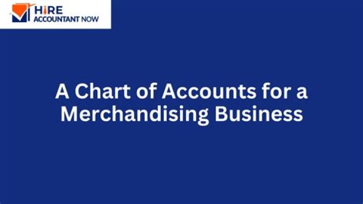 What accounts does a merchandising business use?