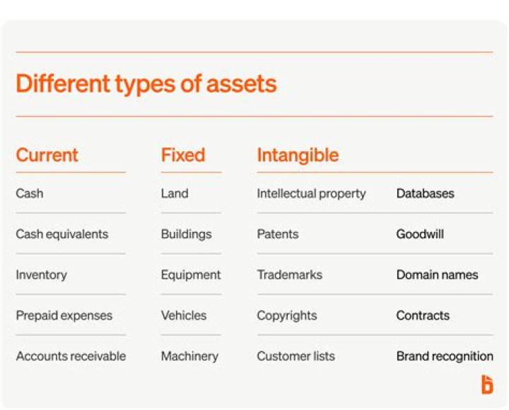 What are examples of assets in business?