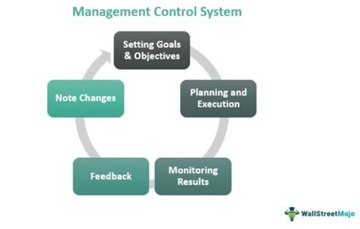 What are examples of management control systems?