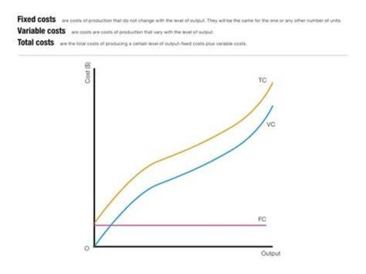 What are fixed costs quizlet?