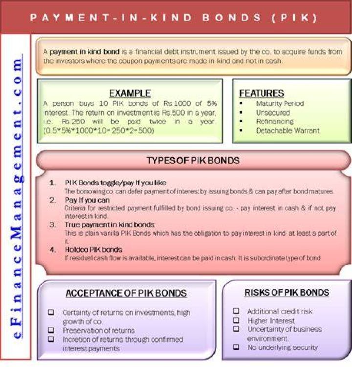 What are payment in kind notes?