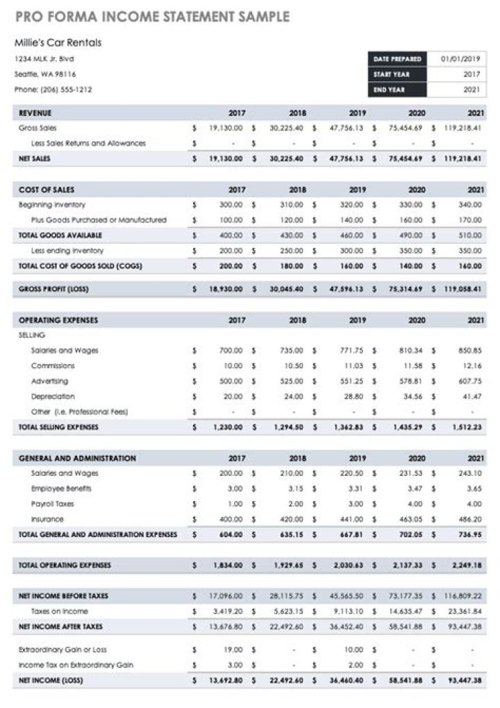 What are pro forma financial statements how are they useful?