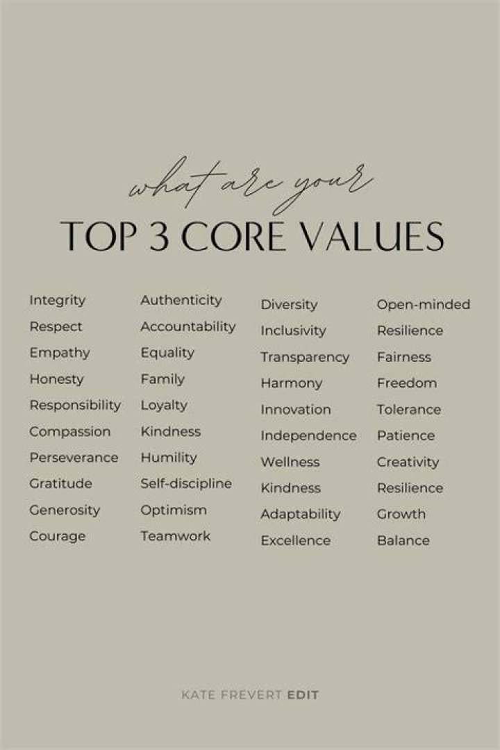 What are the 3 core values?