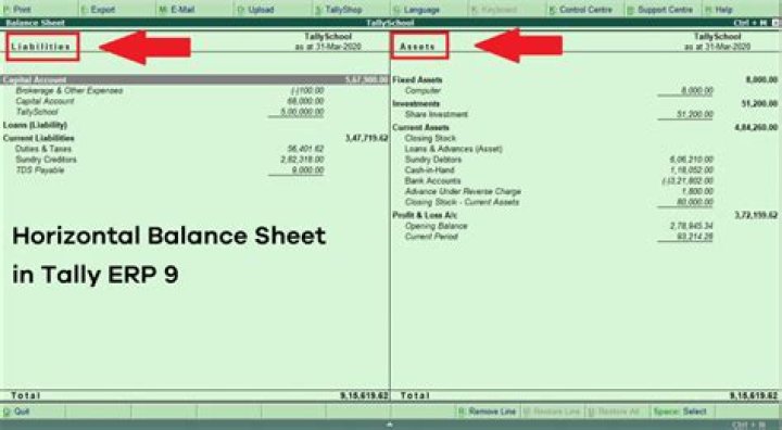 What are the contents of balance sheet in tally?