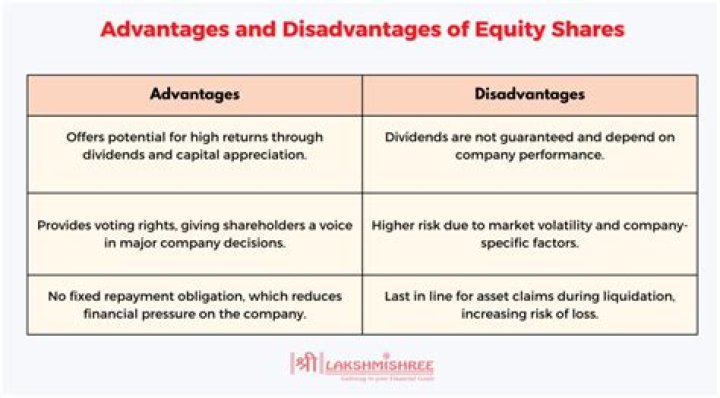 What are the disadvantages of shares?