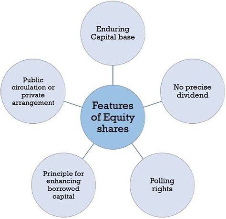 What are the features of equity shares?