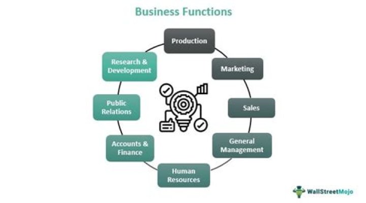 What are the functions of the business?