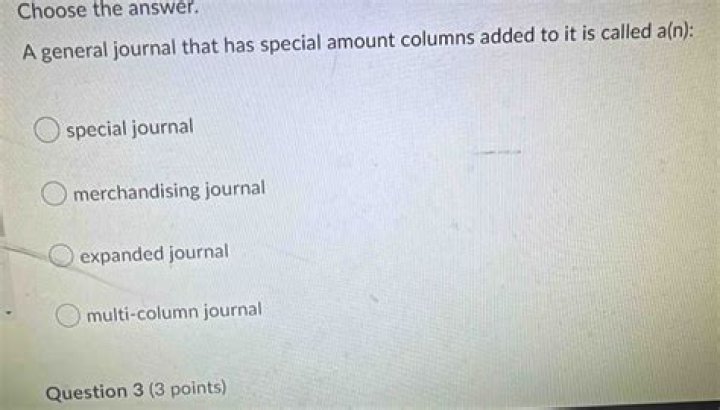 What are the special amount columns on the journal?