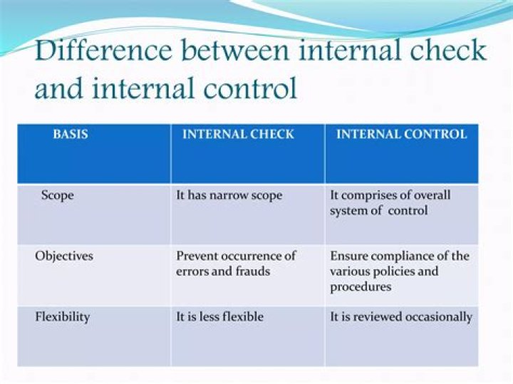 What are the types of internal check?