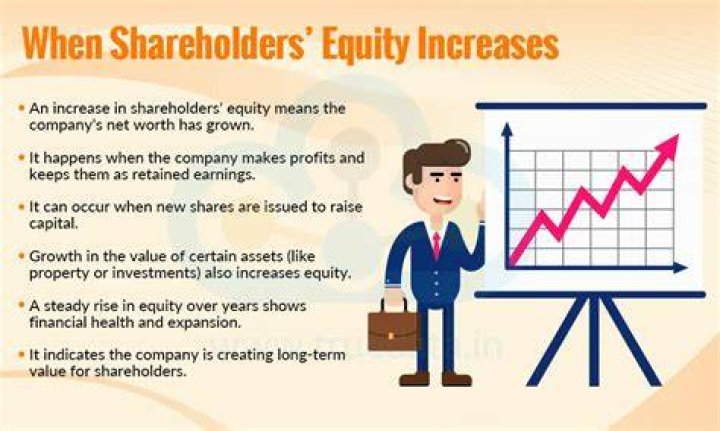 What causes an increase in shareholders equity?