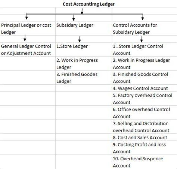 What do you mean by cost control accounts?