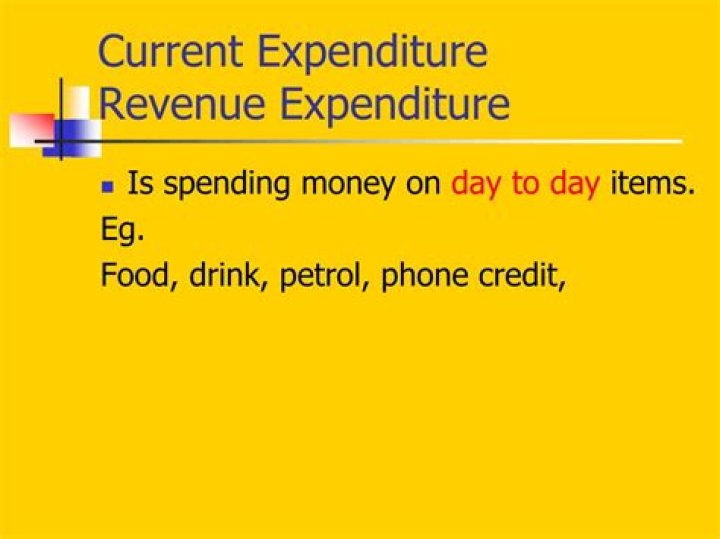 What do you mean by current expenditure?