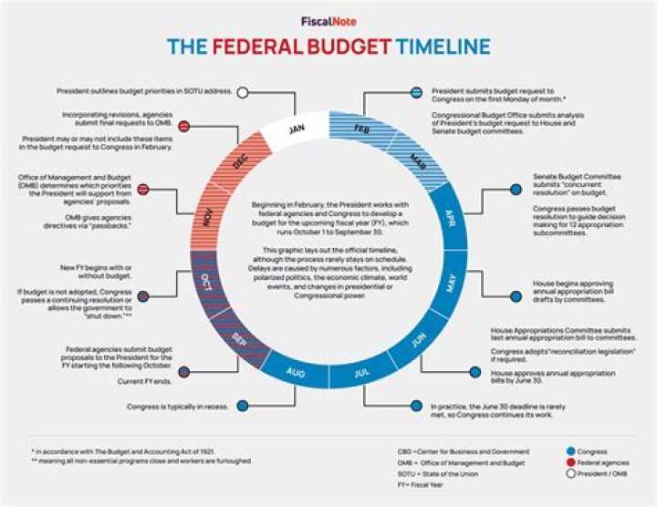 What does a government budget show?