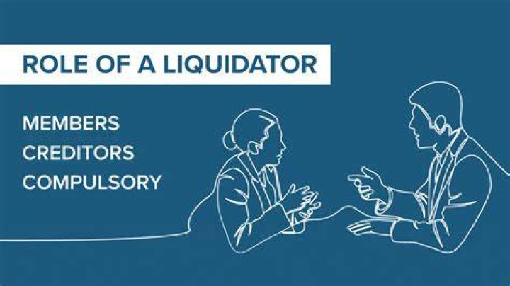 What does a liquidator do?
