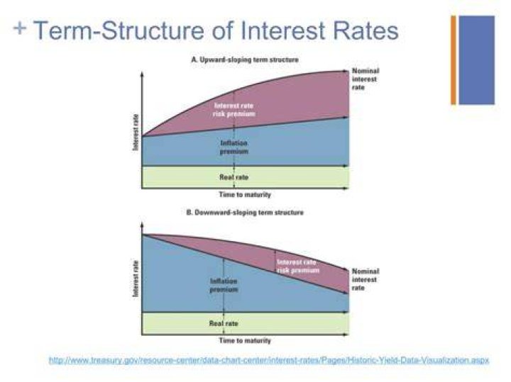 What does the term structure of interest rates indicate?