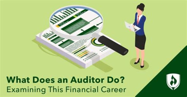 What exactly do auditors do?