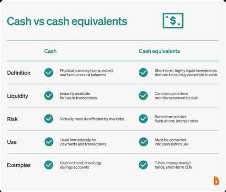 What falls under cash and cash equivalents?