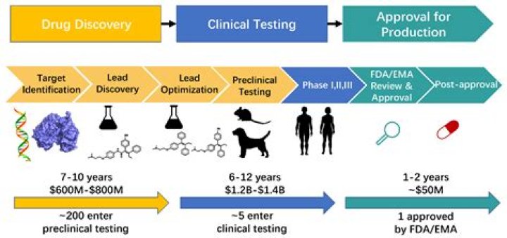 What government agency oversees the clinical testing process for new pharmaceuticals?