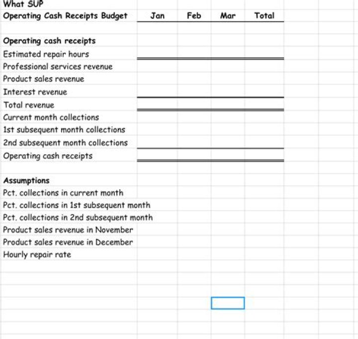 What information is provided in the operating cash receipts portion of the cash budget?
