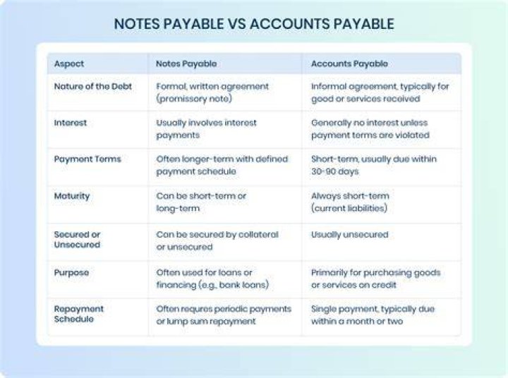 What is a shareholder notes payable?