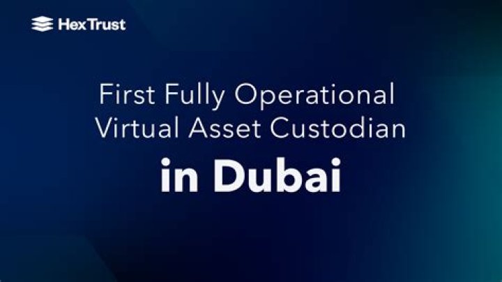 What is a trust custodian?