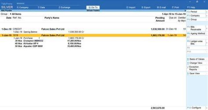 What is accounts payable in Tally?
