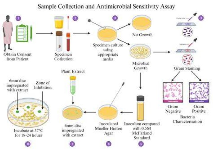 What is an assay example?