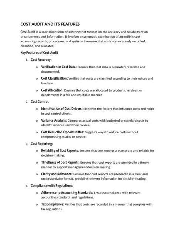 What is audit report what are its features?