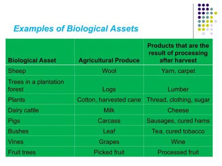 What is biological asset?
