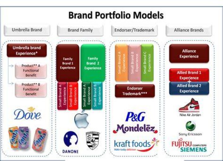 What is brand portfolio with example?