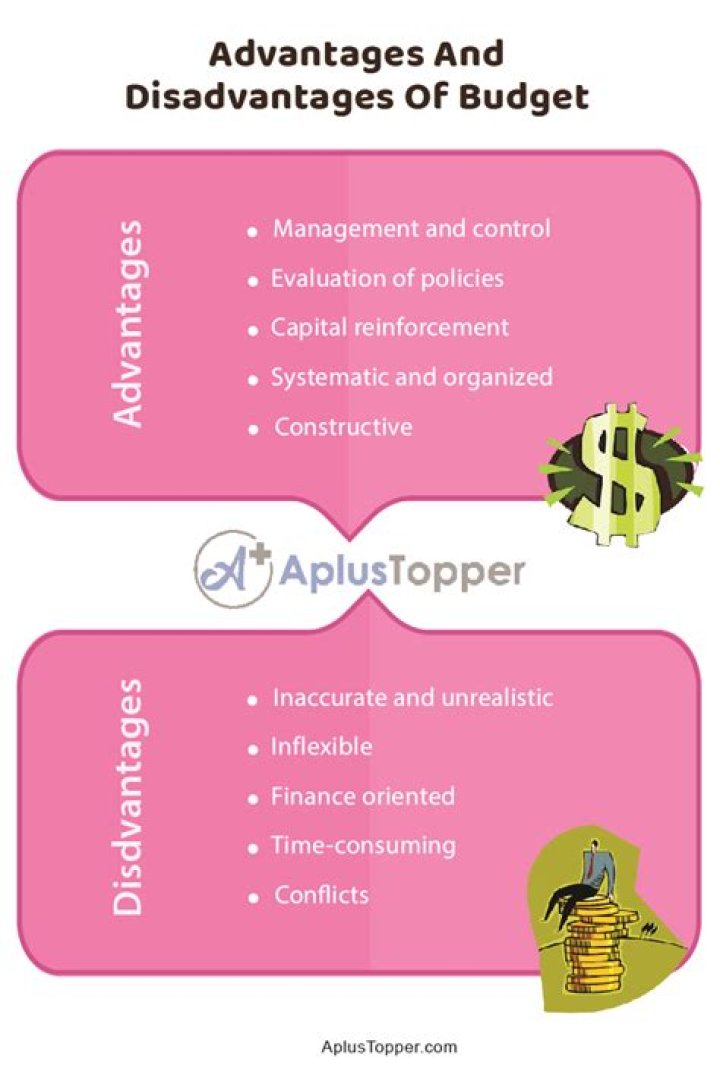 What is budget advantages and disadvantages?