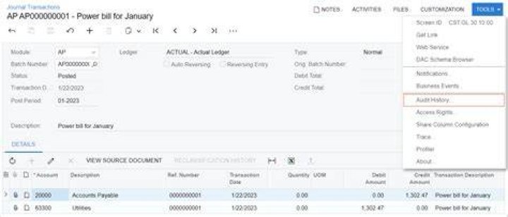 What is field level auditing?