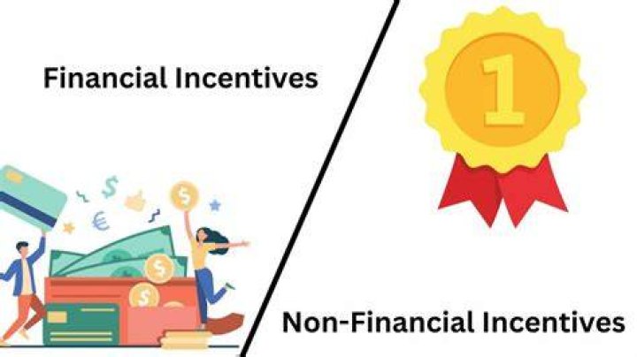 What is financial and non financial incentive?