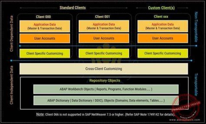 What is master client in SAP?