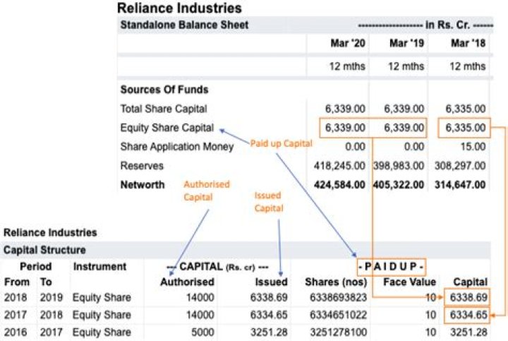 What is paid up capital in balance sheet?