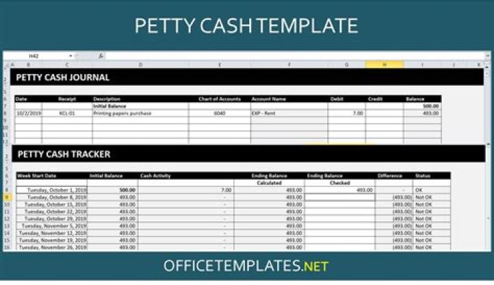 What is petty cash with examples?