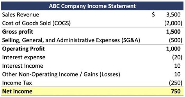What is sales revenue minus cost of goods sold Known As for income statement purposes?