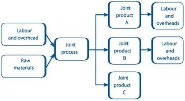 What is the difference between common cost and joint cost?