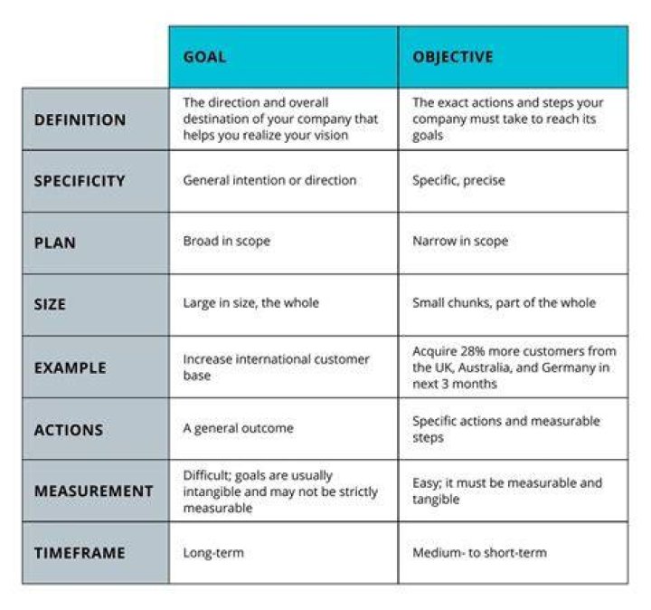 What is the difference between policy goals and policy objectives?