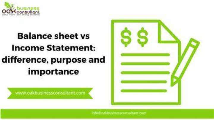 What is the importance of an income statement and a balance sheet for an organization?
