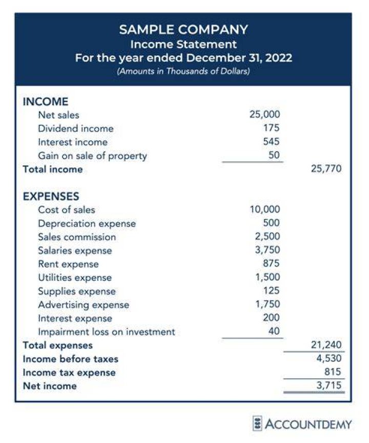What is the income statement also known as?