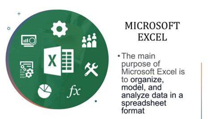 What is the main purpose of Microsoft Excel?